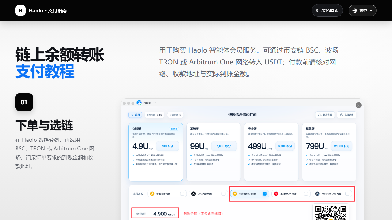 链上转账支付教程页面预览